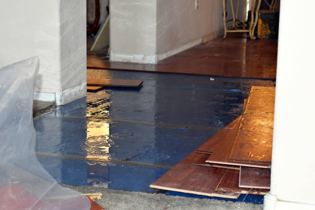 Professional Sewage Cleanup technician working in Camden, TN